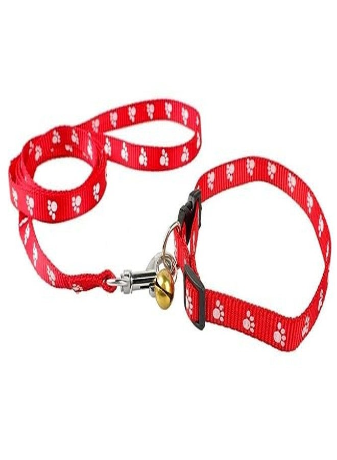 Pups&Pets Nylon Collar Leash Set Printed Adjustable, Daily Use Walking and Training with 10 MM - Red - Image 1